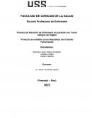 Proceso de Atención de Enfermería en paciente con Tumor maligno de Hígado