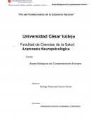 Escuela de Psicología Anamnesis Neuropsicológica