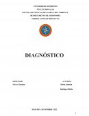DIAGNÓSTICO. Empresa: Almeida y Zabala asociados C.A