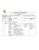 Planificacion orientacion 1er y 2do trimestre