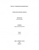 Artículo: “Trazabilidad Organizacional”