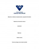 Sistemas de información ubicua