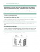 Anatomía.Planimetría Anatómica. Maria V. Ramones