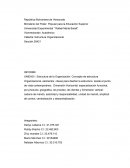 Estructura Organizacional