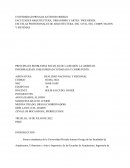 PRINCIPALES PROBLEMAS SOCIALES DE LA REGIÓN LA LIBERTAD: INFORMALIDAD, INSEGURIDAD CIUDADANA Y CORRUPCIÓN.