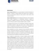 Resumen Ejecutivo Swanson Industries Chile S.A
