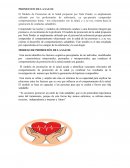 Modelo de Promoción de la Salud propuesto por Nola Pender