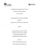 Evidencia 3 Juego de roles en el análisis de un conflicto social