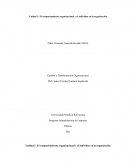 El comportamiento organizacional y el individuo en la organización