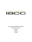 Escalas e Instrumentos de Medición Análogos y Digitales