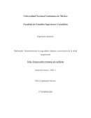 Ensayo sobre el manejo de conflictos