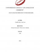 Comentarios del Libro X del código civil