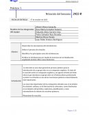 Nitración del benceno