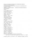 EMPRESAS SECTOR ECONOMICO DECISION DE INVERSION DECISION DE FINANCIAMIENTO TOYOTA
