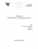 INFORME PROBLEMAS SOCIO ECONOMICOS DEL PAIS