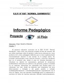 Informe Pedagógico Proyecto Al piojo