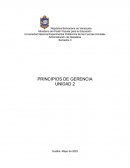 Principios de gerencia
