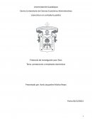 PRESTACIONES A LAS TRABAJADORAS DOMESTICAS