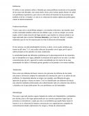 Proyecto del salitre