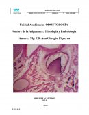 HISTOLOGÍA Y EMBRIOLOGÍA