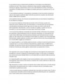 Evidencia que la contaminación atmosférica es la principal causa ambiental de problemas de salud