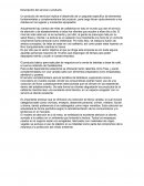 Descripción del servicio o producto