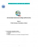 El Ser Humano, Sociedad y Cultura