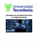 SISTEMAS PARA LA COMPETITIVIDAD