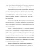 Ensayo lecho fluidizado