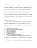 Embalaje de producto terminado