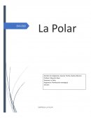 PLANIFICACION ESTRATEGICA LA POLAR