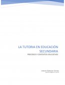 TUTORIA EDUCACION SECUNDARIA UNED