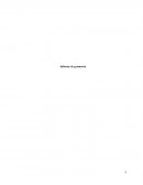 Informe de geometría