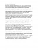 LA TEORÍA CRÍTICA DEL DERECHO