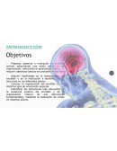 ANATOMIA MACROSCÓPICA DEL ENCÉFALO