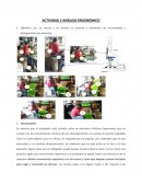 Análisis Ergonómico Puesto de Trabajo