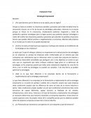 Evaluación Final Estrategia Empresarial