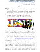 LOS CINCO EJES DE LA ESI