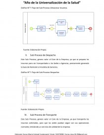 LEAN LOGISTIC NATCLAR S.A.C.. Página 20
