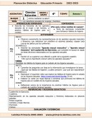 Los caracteres sexuales de mujeres y hombres