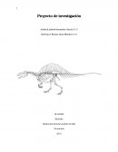 Proyecto de investigación paleontologia