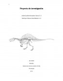 Proyecto de investigación paleontologia