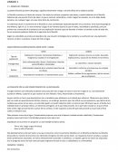 FILOSOFÍA. ORIGEN DEL TÉRMINO