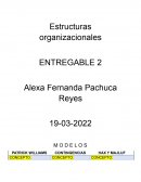 Estructuras organizacionales