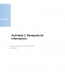 Tarea Búsqueda de la información