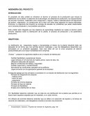 INGENIERÍA DEL PROYECTO