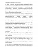 Análisis de video de administración estratégica