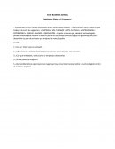 Marketing Digital y E-Commerce