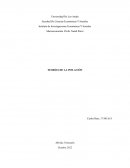 TEORÍAS DE LA INFLACIÓN