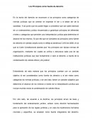 Los principios como fuente de derecho